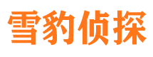 横山市婚姻调查